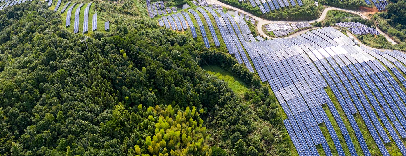 Sustainable IT Practices for Big Impact Results