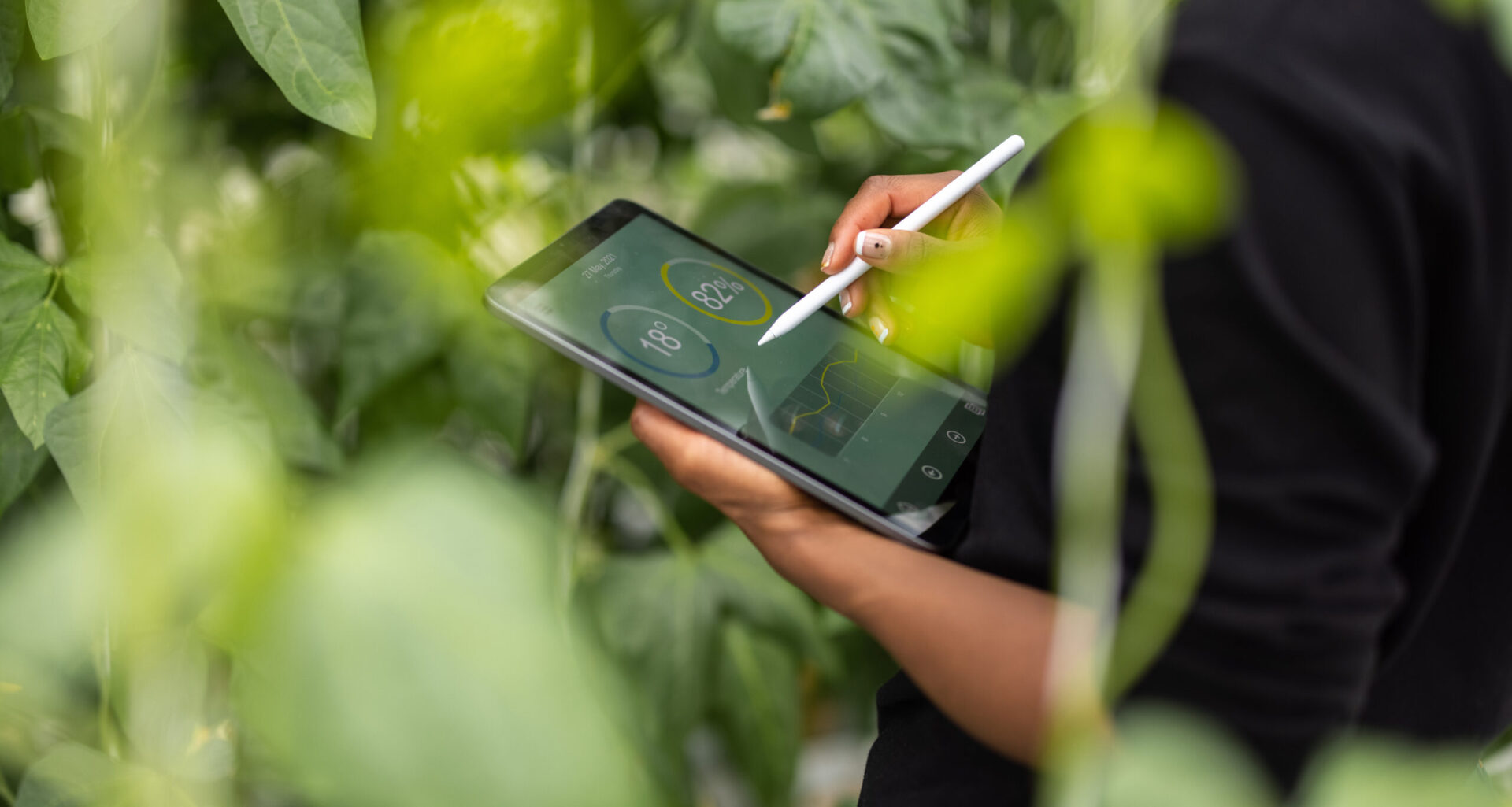 EcoVadis Platform: Build a Sustainable Supply Chain Now!