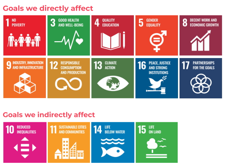 Icons of our Sustainable development goals: 15 squares in different colours with white icons representing each goal.