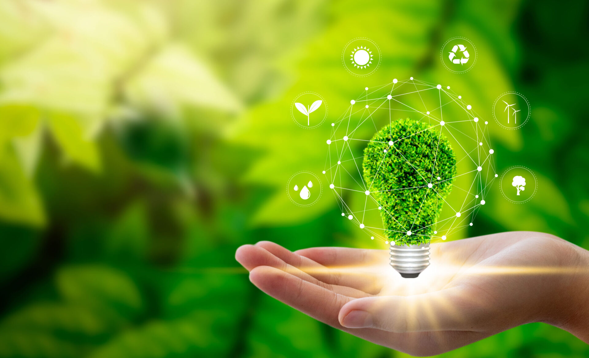 Sustainability Whitepaper 2020