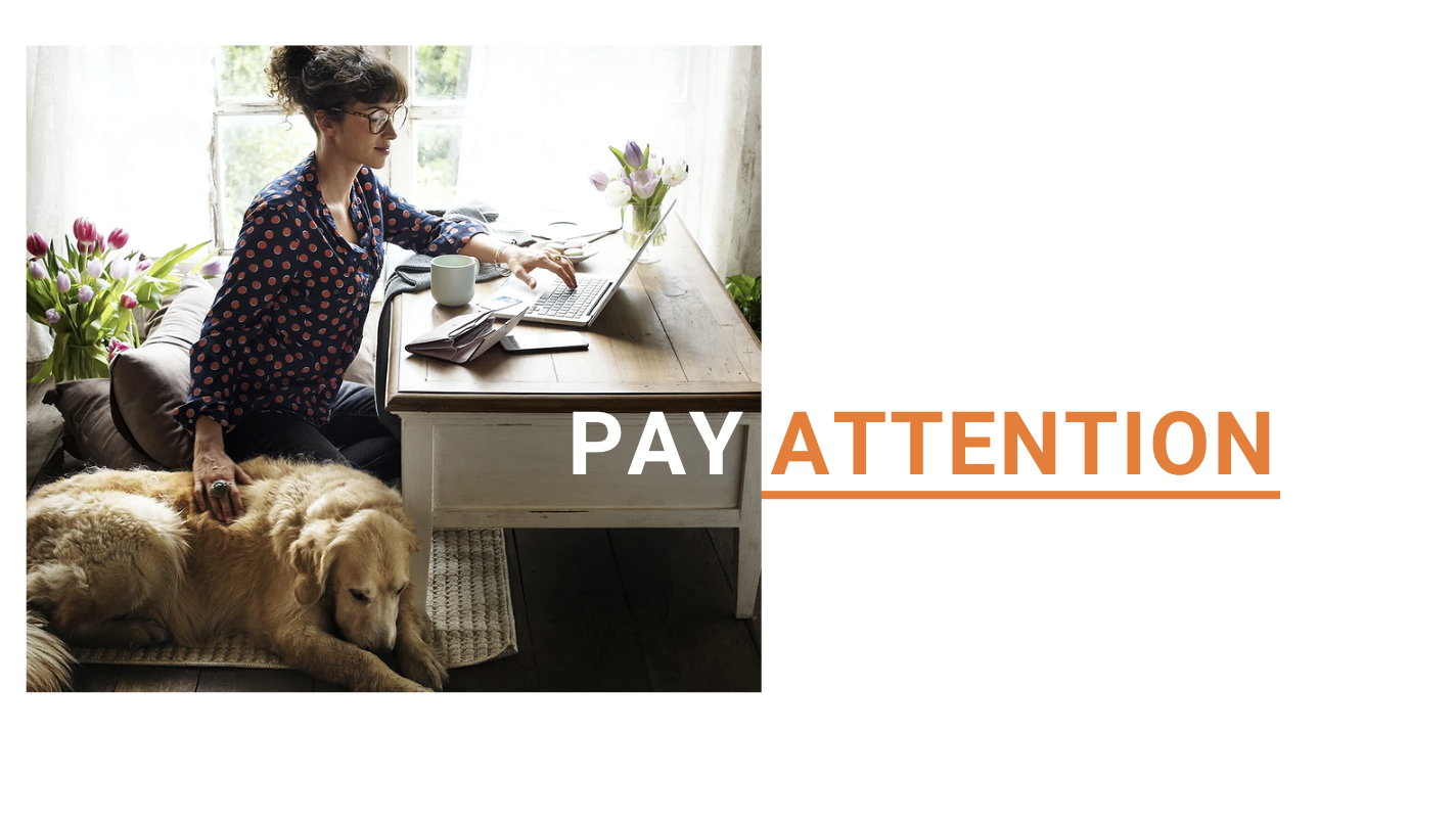 Pay attention during a meeting