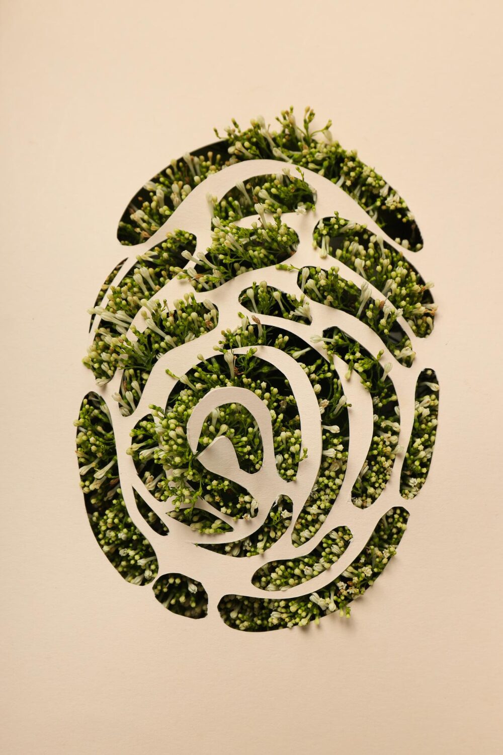 From Eco-Anxiety to Action: How AI Can Drive a Sustainable Future