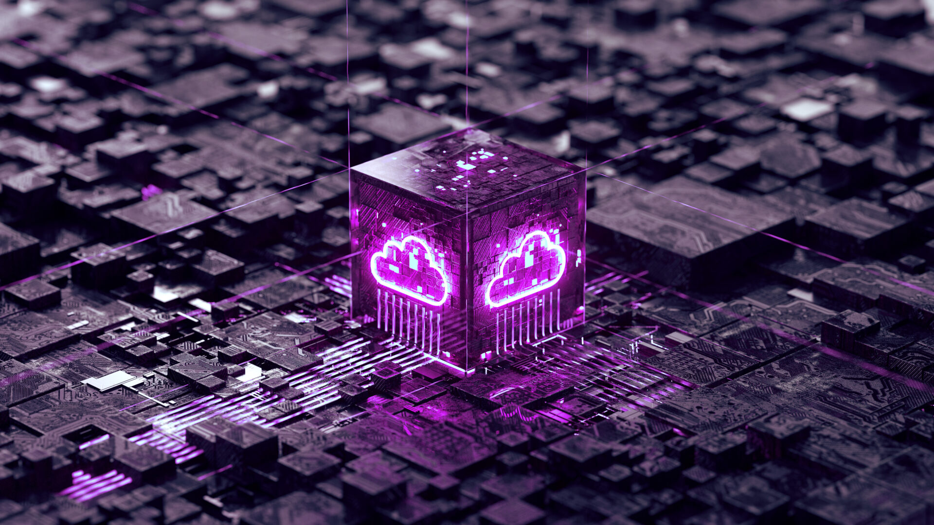 The License Fallacy: Warum digitale Transformation nicht beim Kauf der Software endet